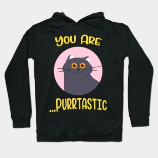 You are Purrtastic Cute Funny Cat Kitty Feline Pun Hoodie